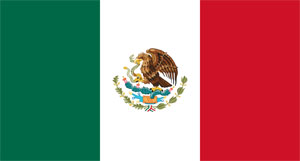 Mexico TV Service Providers