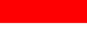 indonesia TV Service Providers